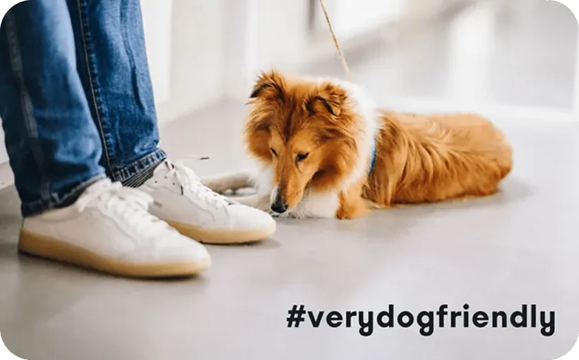 #verydogfriendly